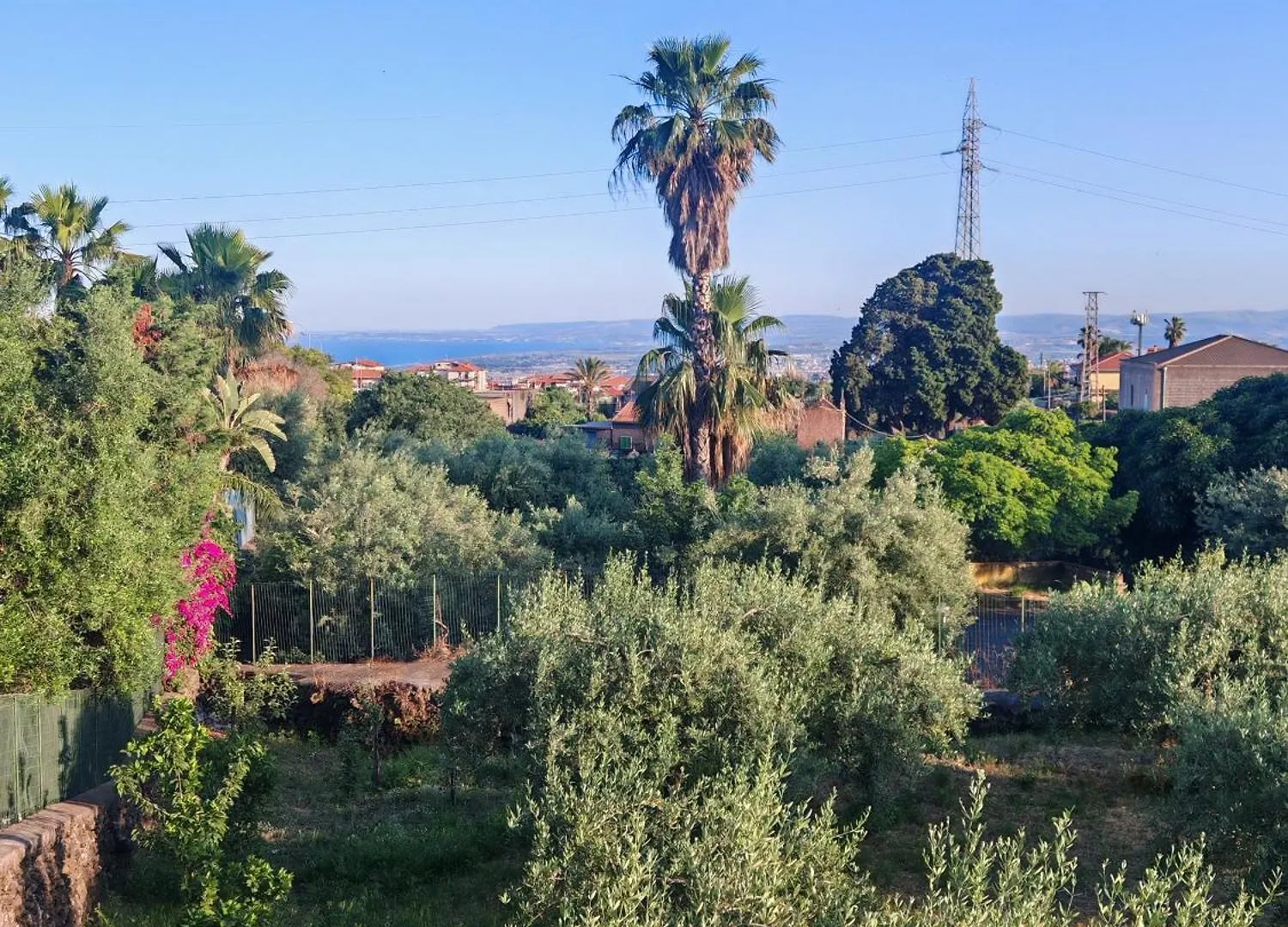 Domus Ulivi Luxury Rooms Nocellara Catania Guest house