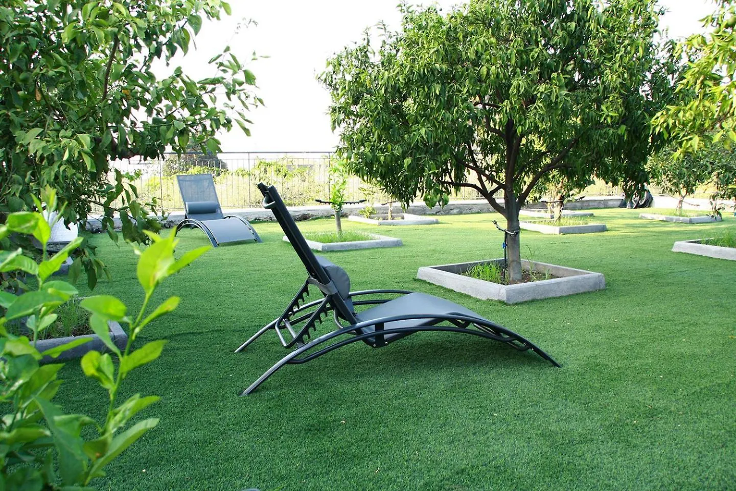 Guest house Domus Ulivi Luxury Rooms Nocellara Catania